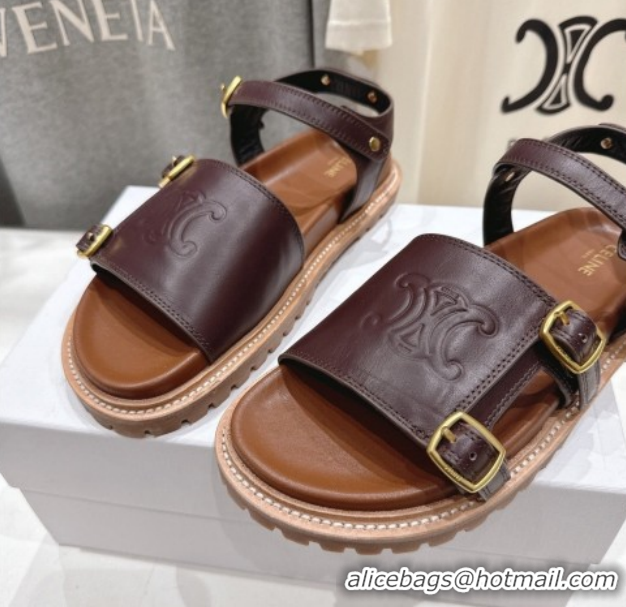 Pretty Style Celine Tippi Triomphe Flat Sandals in Calfskin Leather 0227036 Dark Brown 2026