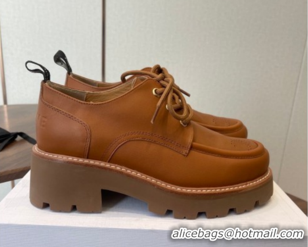 Stylish Celine Triomphe Derbies Shoes Lace-ups 3cm in Calfskin Leather Brown 0227056 2026