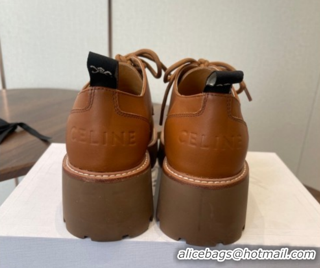 Stylish Celine Triomphe Derbies Shoes Lace-ups 3cm in Calfskin Leather Brown 0227056 2026