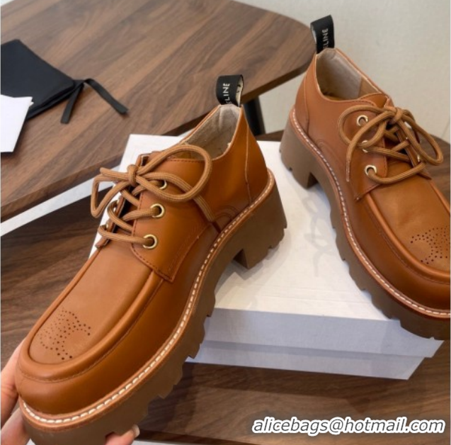 Stylish Celine Triomphe Derbies Shoes Lace-ups 3cm in Calfskin Leather Brown 0227056 2026