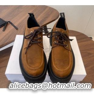 Sophisticated Celine Triomphe Derbies Shoes Lace-ups 3cm in Suede Brown 0227058 2026