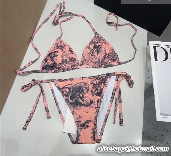 Grade Design Dior Swimwear Set D030503 Pink 2026