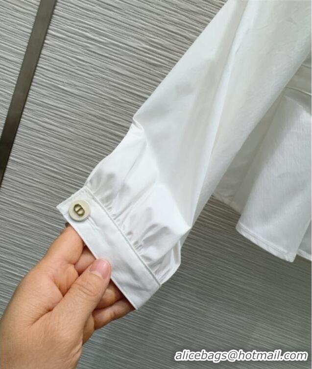 New Fashion Dior Shirt D031017 White 2026