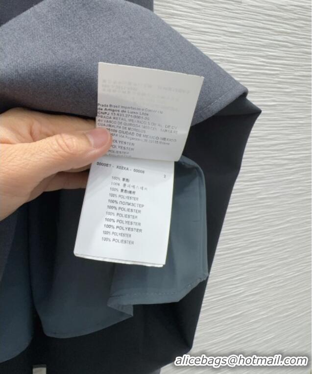 Famous Brand Prada Long Skirt PR031103 Grey 2026