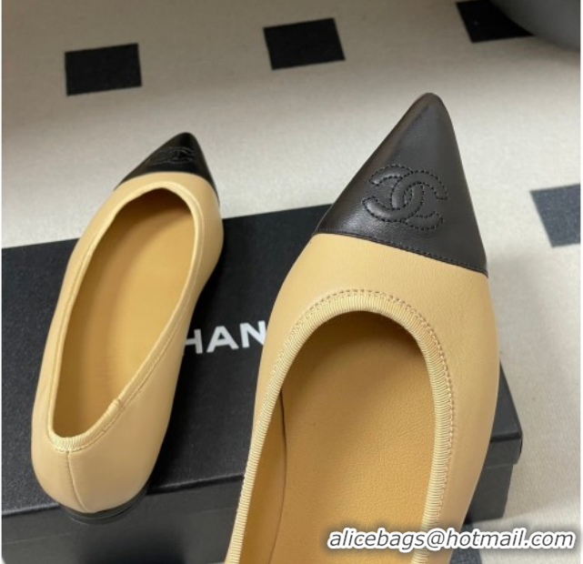 Purchase Chanel Lambskin Leather Pointed Ballet Flats G47081 Beige/Black 2026