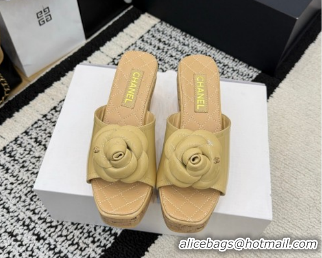 Low Price Chanel Patent Leather Heel Slides Sandal with Camellia CH030616 Beige 2026
