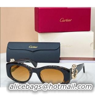 Well Crafted Cartier Sunglasses CT0472S Brown 2026