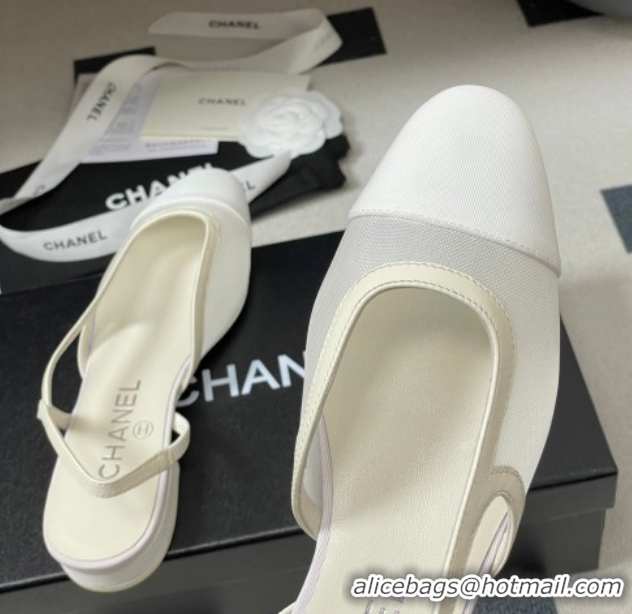 Unique Style Chanel Mesh & Grosgrain Slingbacks Flat G31319 White 2026