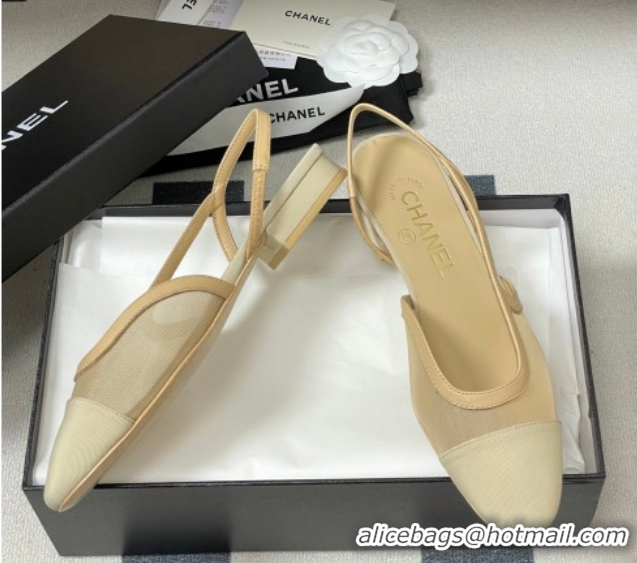 Grade Style Chanel Mesh & Grosgrain Slingbacks Flat G31319 Beige/Yellow 2026