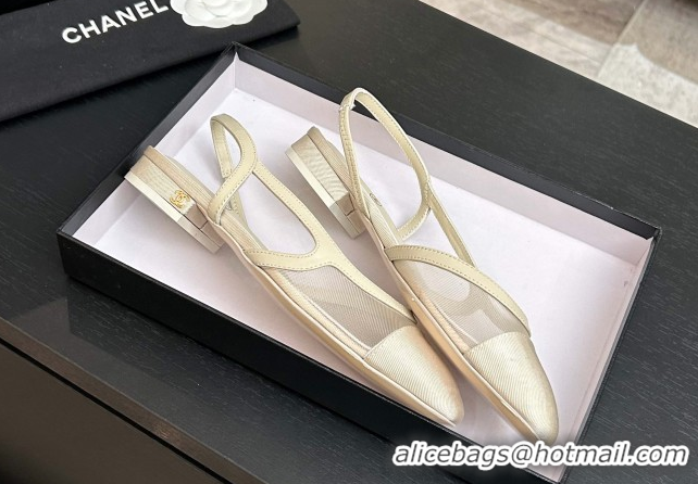 Trendy Design Chanel Mesh & Grosgrain Slingbacks Flat G31319 Ivory 2026