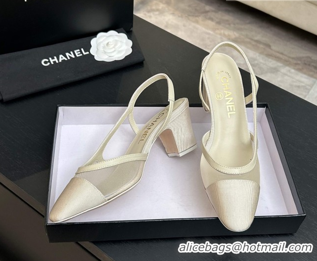 Good Looking Chanel Mesh & Grosgrain Slingbacks Pump 6.5cm G31318 Ivory 2026