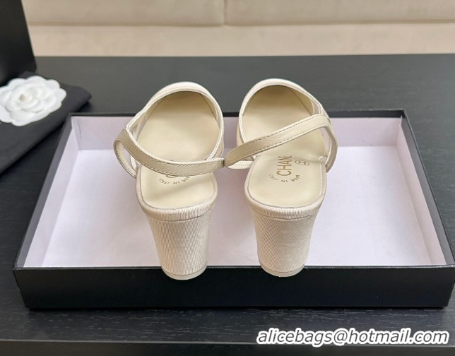 Good Looking Chanel Mesh & Grosgrain Slingbacks Pump 6.5cm G31318 Ivory 2026