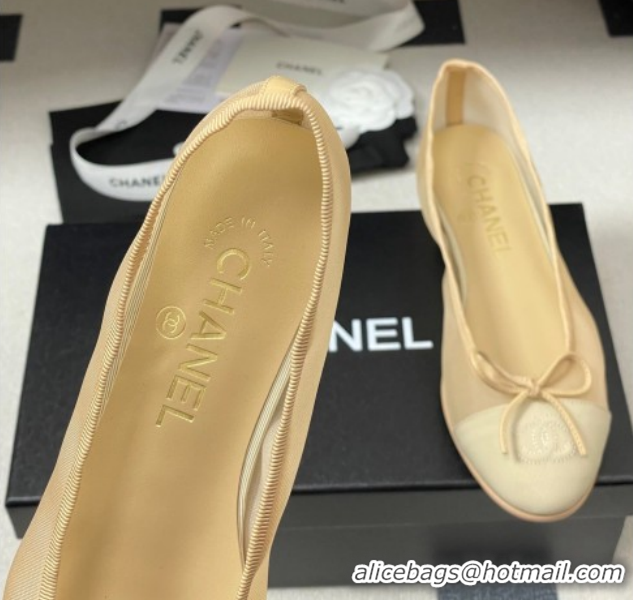 Good Product Chanel Mesh & Grosgrain Ballet Flats with Bow G02819 Beige 2026
