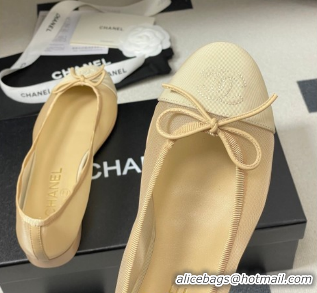 Good Product Chanel Mesh & Grosgrain Ballet Flats with Bow G02819 Beige 2026