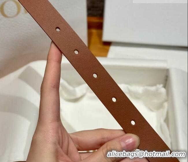 Discount Design Dior Smooth Calfskin Belt 2cm with DIOR Buckle 0617 Brown/Gold 2025