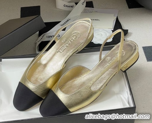 Good Quality Chanel Metallic Leather & Grosgrain Slingbacks Flat G31319 Gold/Black 2026