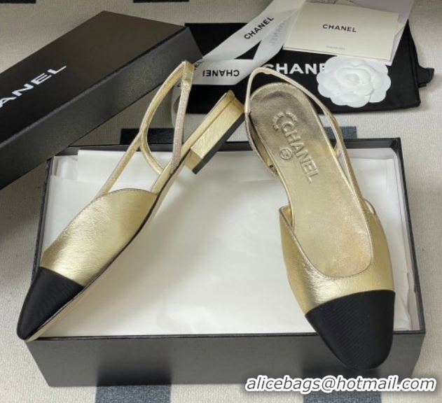 Good Quality Chanel Metallic Leather & Grosgrain Slingbacks Flat G31319 Gold/Black 2026