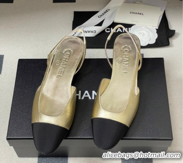 Good Quality Chanel Metallic Leather & Grosgrain Slingbacks Flat G31319 Gold/Black 2026