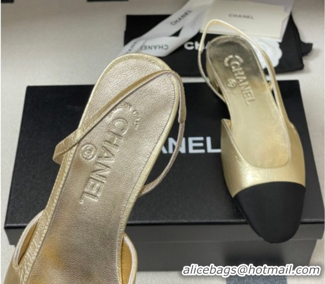 Good Quality Chanel Metallic Leather & Grosgrain Slingbacks Flat G31319 Gold/Black 2026