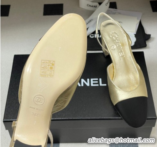 Unique Style Chanel Metallic Leather & Grosgrain Slingbacks Pump 6.5cm G31318 Gold/Black 2026