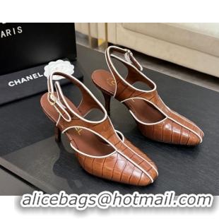 Low Price Chanel Crocodile Embossed Patent Calfskin Leather Slingbacks Pump G47184 Brown 2026