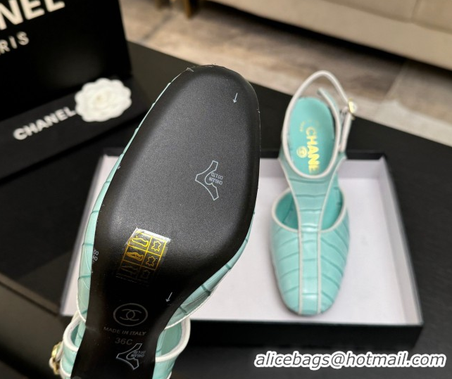 Luxury Chanel Crocodile Embossed Patent Calfskin Leather Slingbacks Pump G47184 Green 2026