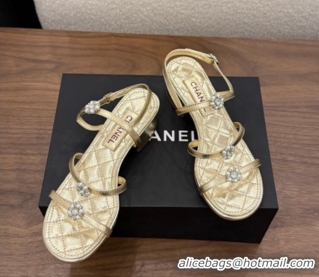 Shop Duplicate Chanel Lambskin Leather Low Heel Strap Sandals with Bloom G46964 Gold 2026
