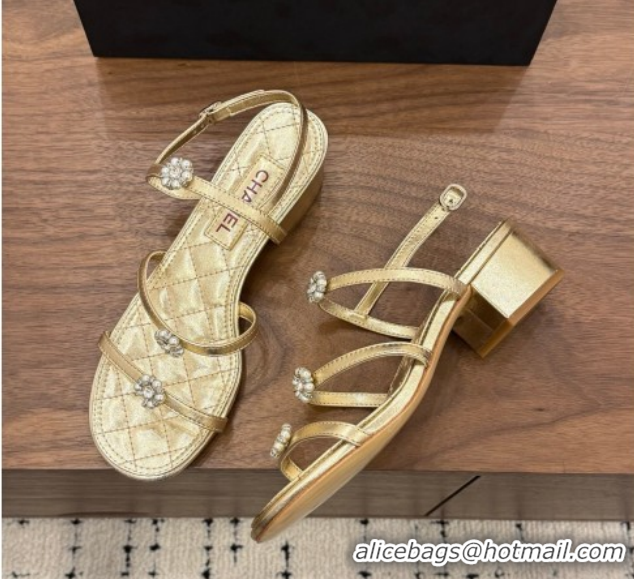 Shop Duplicate Chanel Lambskin Leather Low Heel Strap Sandals with Bloom G46964 Gold 2026