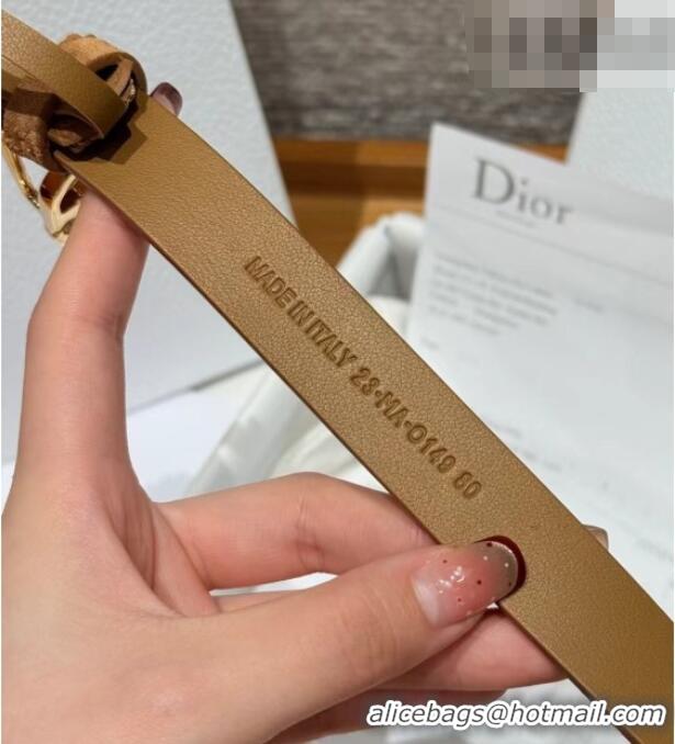 Good Taste Dior Suede and Leather Belt 2cm with Strass CD Buckle 1231 Beige/Gold 2025