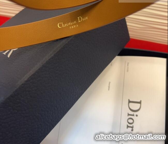 Top Quality Dior Calfskin Leather Belt 2cm with Strass CD Buckle 1231 Brown/Silver 2025