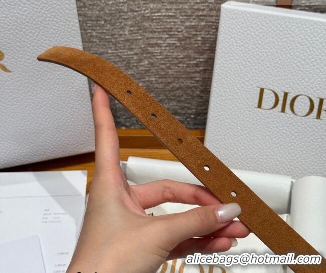 Shop Promotional Dior Suede Belt 2cm with Strass CD DR031701 Camel Brown 2026