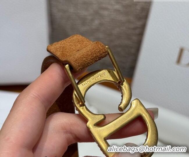 Shop Promotional Dior Suede Belt 2cm with Strass CD DR031701 Camel Brown 2026