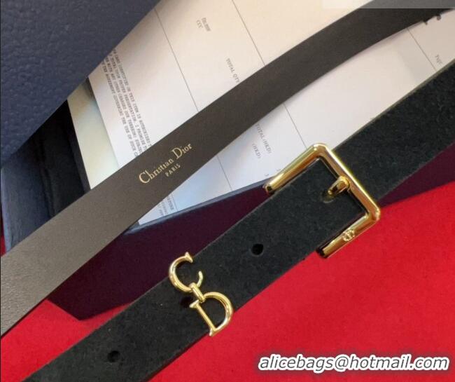 Top Grade Dior Saddle Loop Belt 2cm in Suede with CD Pin Buckle DR031705 Black/Gold 2026