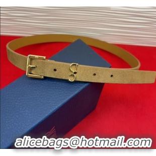 Best Quality Dior Saddle Loop Belt 2cm in Suede with CD Pin Buckle DR031705 Biscuits Beige/Gold 2026