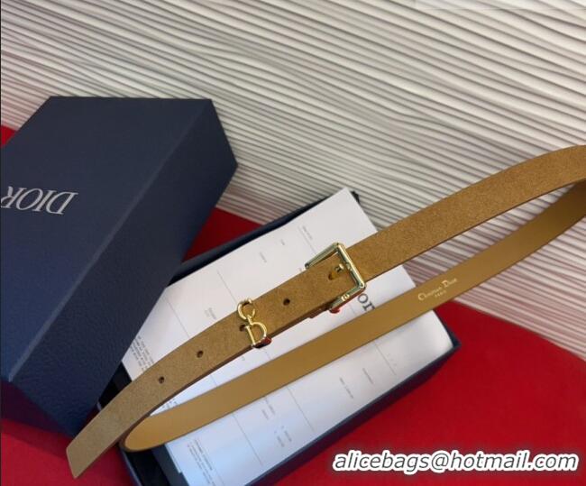 Best Quality Dior Saddle Loop Belt 2cm in Suede with CD Pin Buckle DR031705 Biscuits Beige/Gold 2026