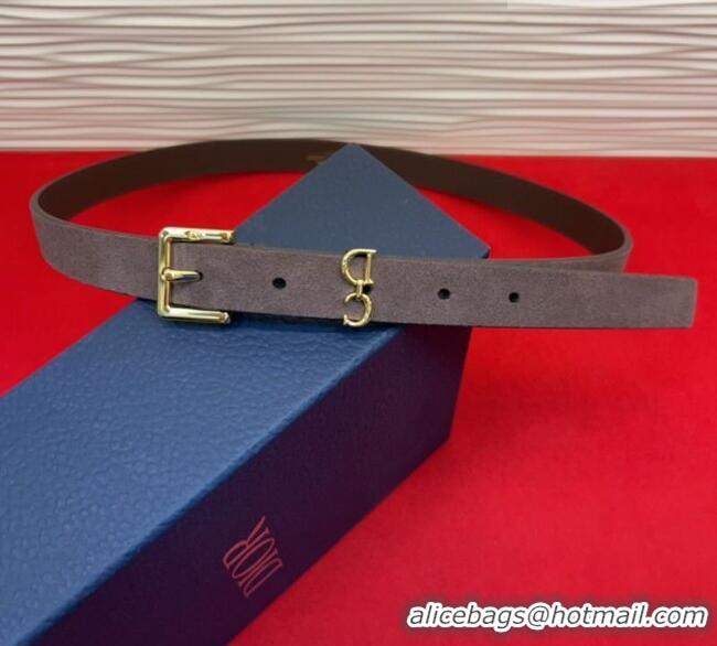 Buy Fashionable Dior Saddle Loop Belt 2cm in Suede with CD Pin Buckle DR031705 Taupe/Gold 2026