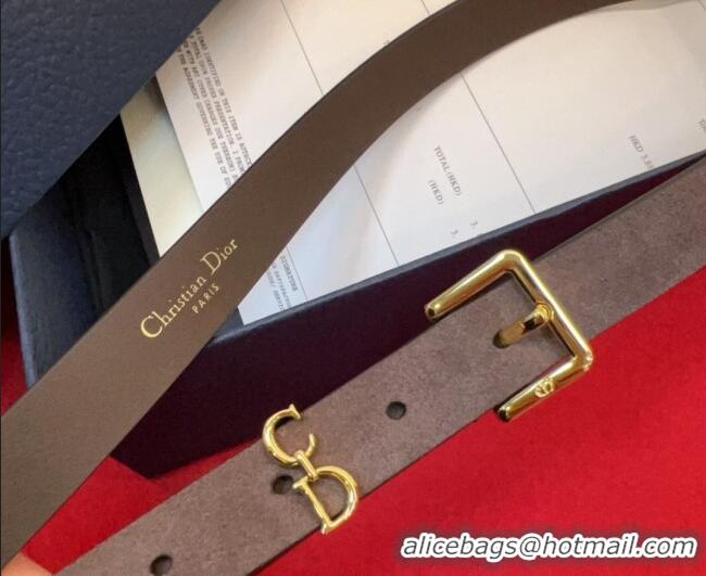 Buy Fashionable Dior Saddle Loop Belt 2cm in Suede with CD Pin Buckle DR031705 Taupe/Gold 2026