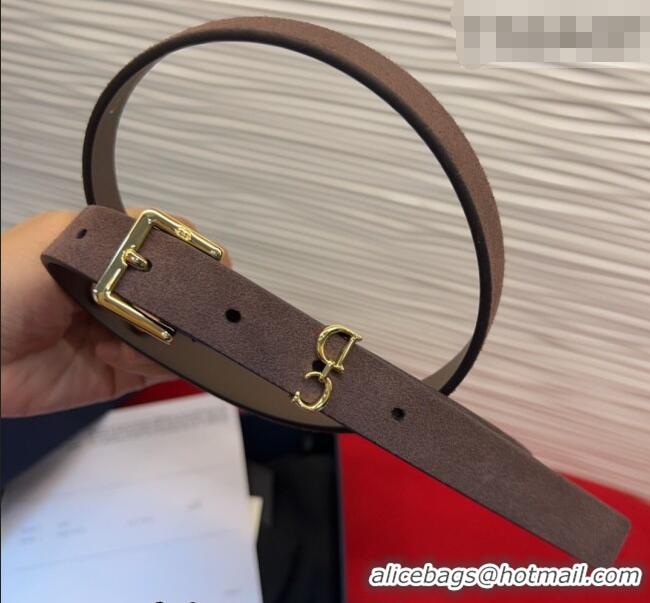 Buy Fashionable Dior Saddle Loop Belt 2cm in Suede with CD Pin Buckle DR031705 Taupe/Gold 2026