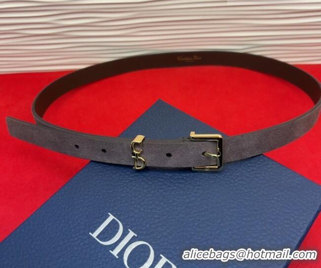 Buy Fashionable Dior Saddle Loop Belt 2cm in Suede with CD Pin Buckle DR031705 Taupe/Gold 2026