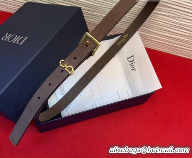 Buy Fashionable Dior Saddle Loop Belt 2cm in Suede with CD Pin Buckle DR031705 Taupe/Gold 2026