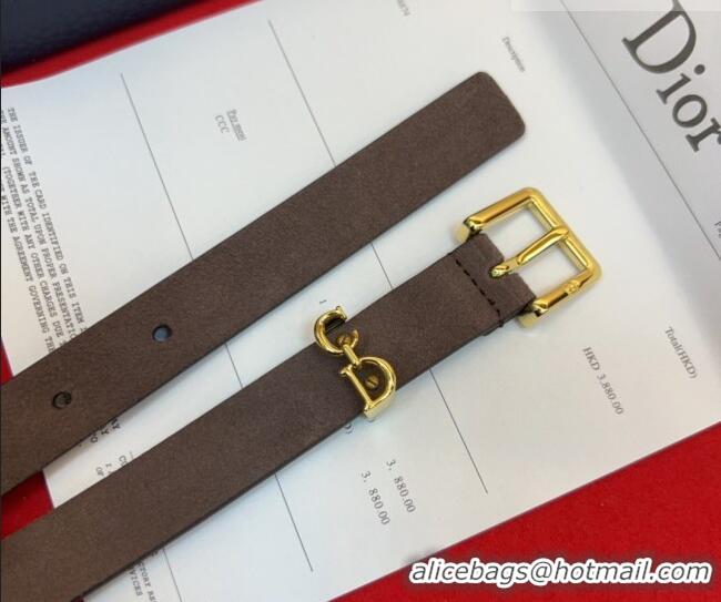 Buy Fashionable Dior Saddle Loop Belt 2cm in Suede with CD Pin Buckle DR031705 Taupe/Gold 2026