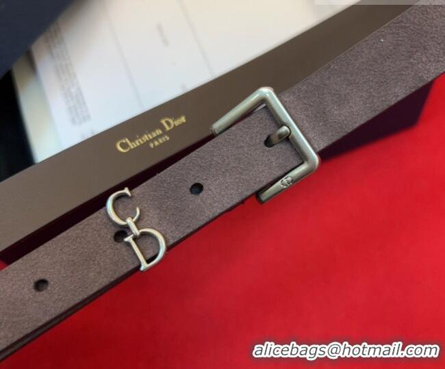 Free Shipping Dior Saddle Loop Belt 2cm in Suede with CD Pin Buckle DR031705 Taupe/Silver 2026