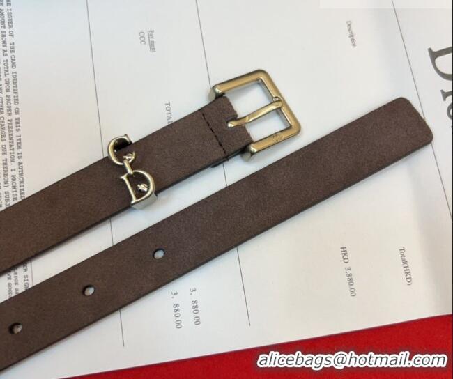 Free Shipping Dior Saddle Loop Belt 2cm in Suede with CD Pin Buckle DR031705 Taupe/Silver 2026