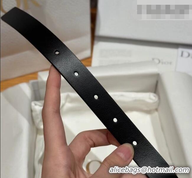 Best Quality Dior Saddle Loop Belt 2cm in Smooth Leather with CD Pin Buckle DR031705 Black/Gold 2026