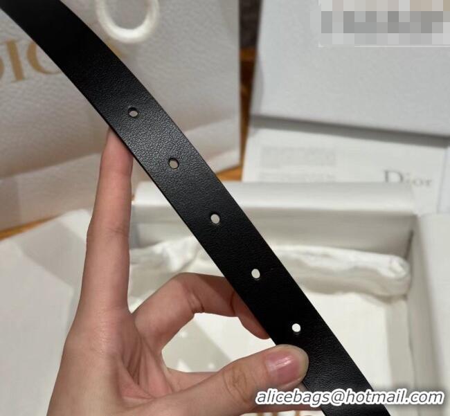 New Fashion Dior Saddle Loop Belt 2cm in Smooth Leather with CD Pin Buckle DR031705 Black/Silver 2026