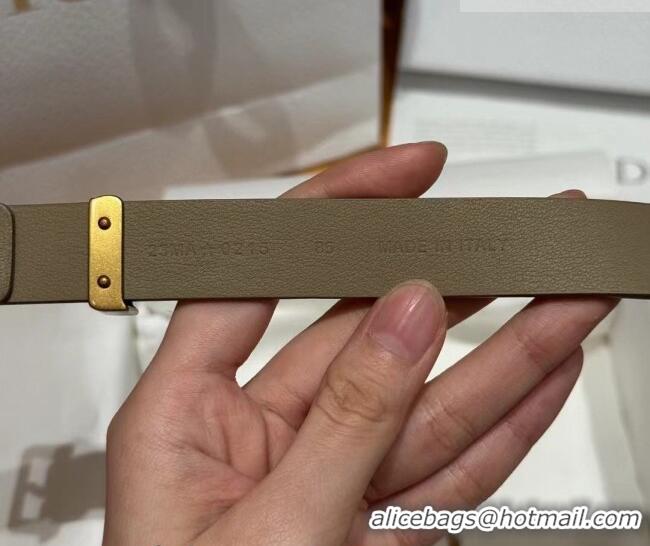 Discount Dior Saddle Loop Belt 2cm in Smooth Leather with CD Pin Buckle DR031705 Khaki/Gold 2026