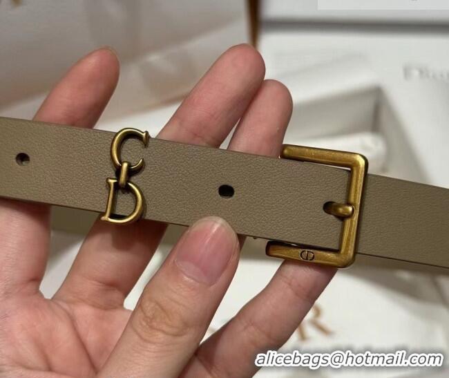 Discount Dior Saddle Loop Belt 2cm in Smooth Leather with CD Pin Buckle DR031705 Khaki/Gold 2026
