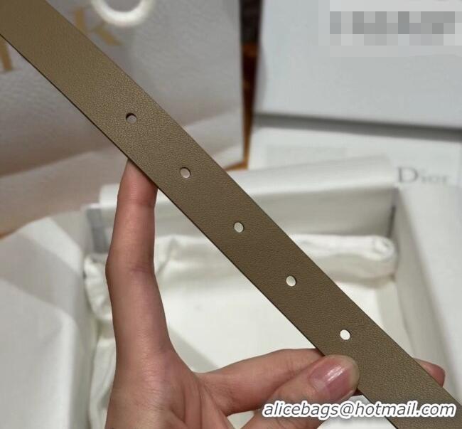 Discount Dior Saddle Loop Belt 2cm in Smooth Leather with CD Pin Buckle DR031705 Khaki/Gold 2026