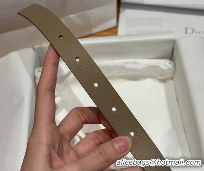 Inexpensive Dior Saddle Loop Belt 2cm in Smooth Leather with CD Pin Buckle DR031705 Khaki/Silver 2026