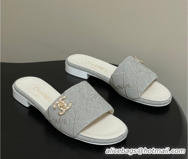 Shop Duplicate Chanel Quilted Cotton Flat Slides Sandal CH030902 Grey 2026
